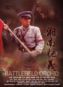 全集免费观看超清