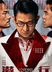 BD国语电影免费在线