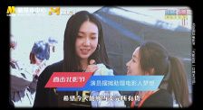 全集免费观看超清